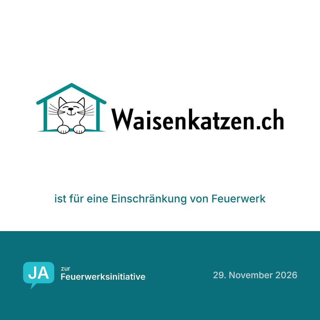 Waisenkatzen.ch ist für eine Einschränkung von Feuerwerk