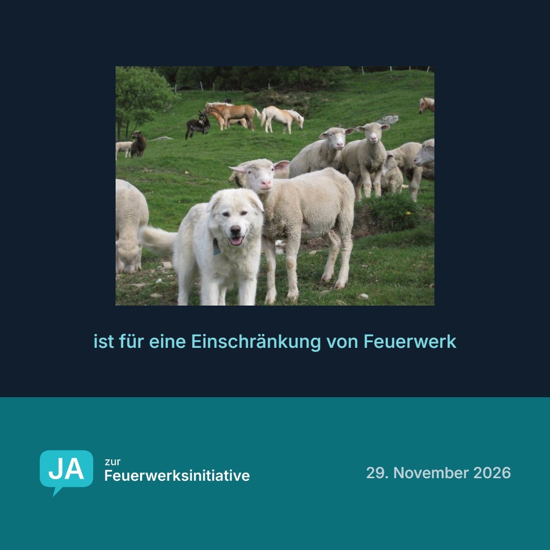 Hof Allegro / Herdenschutzzentrum ist für eine Einschränkung von Feuerwerk