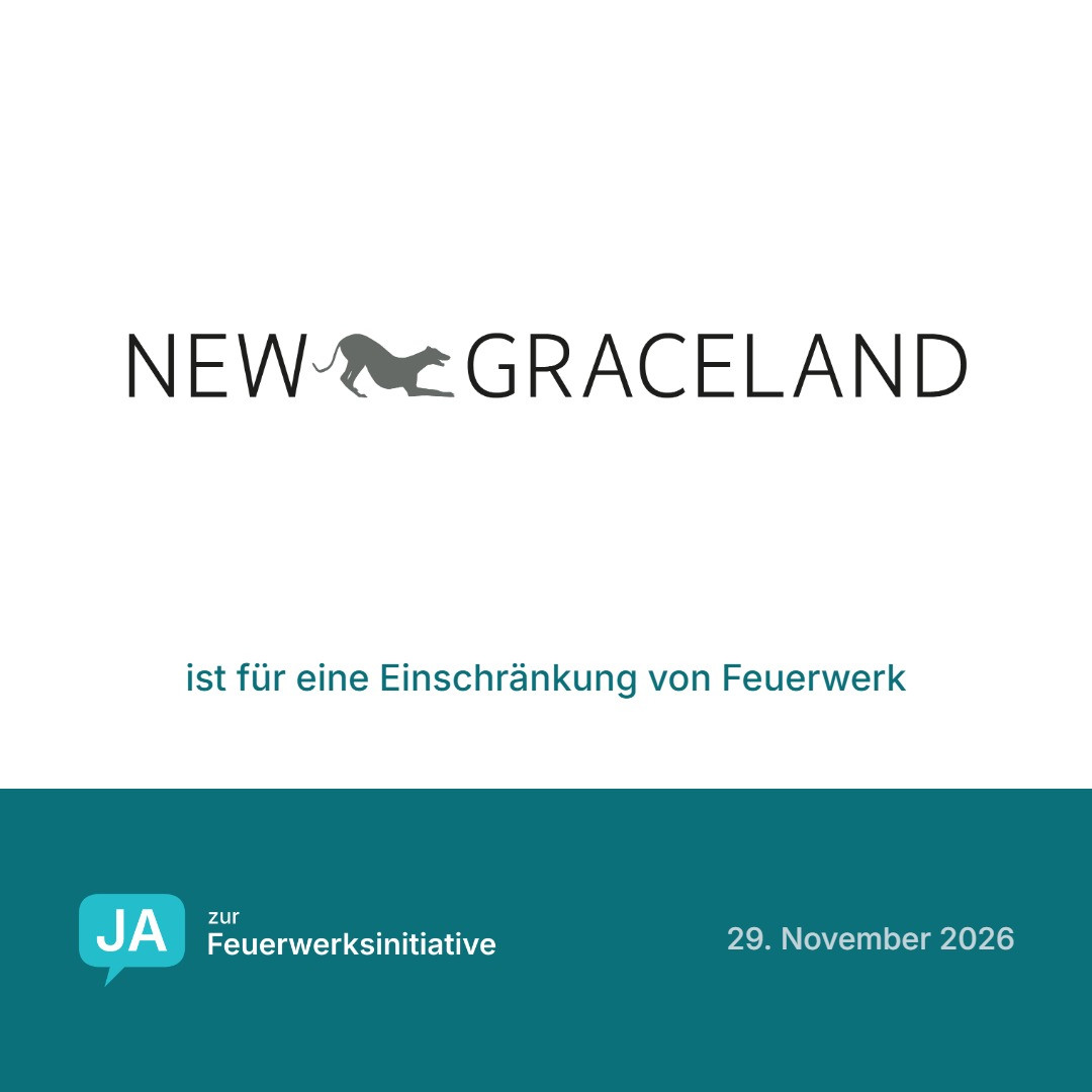 New Graceland ist für eine Einschränkung von Feuerwerk